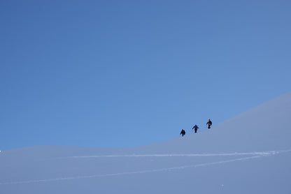 Fjell^ - MT1365s ^ W - Splitboard