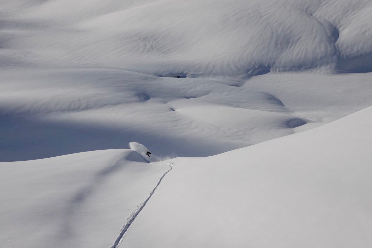 Fjell^ - MT1365s ^ W - Splitboard