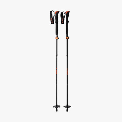 Union Aluminum Touring Poles